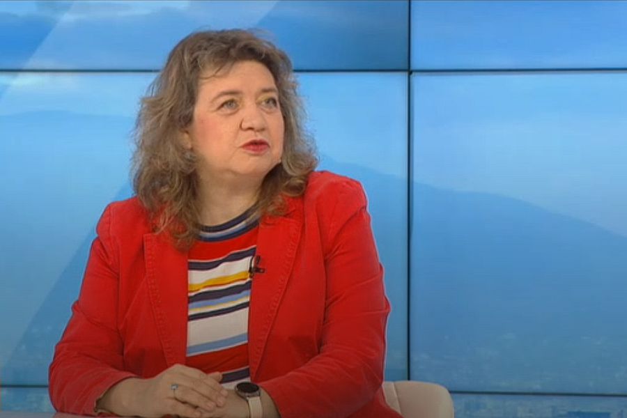 Доц. Киселова за електронното заявление на ДПС-Ново начало: Това е по-скоро пиар акция